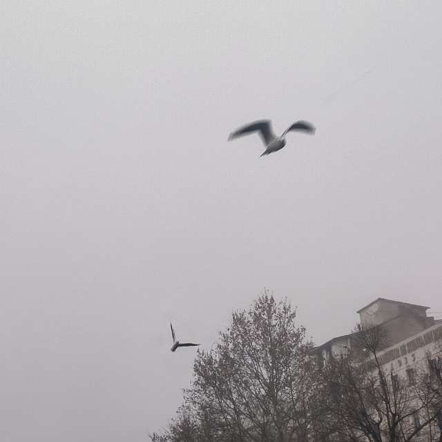 Fotos del Parque. Pronósticos del tiempo con hermosas fotos de YanBog en Bucharest