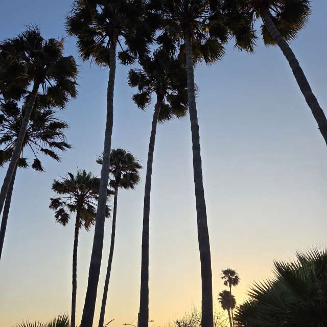 Prévisions météo avec de superbes photos de ubafish