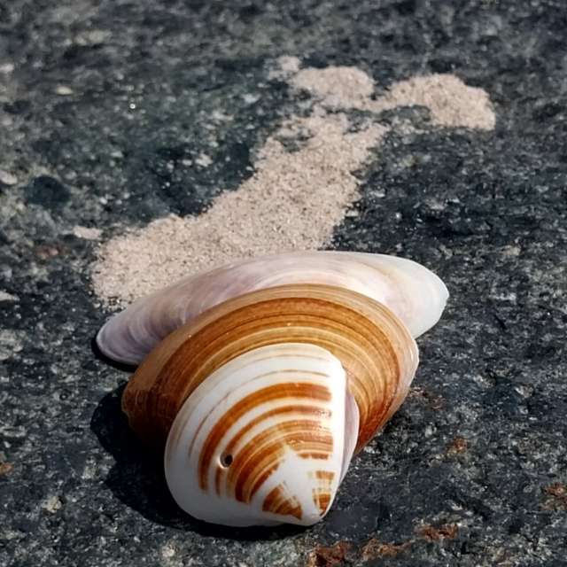 Weather forecasts with beautiful photos by Vladimir70