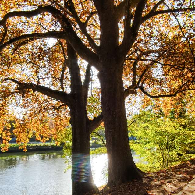 agOostの美しい写真による天気予報