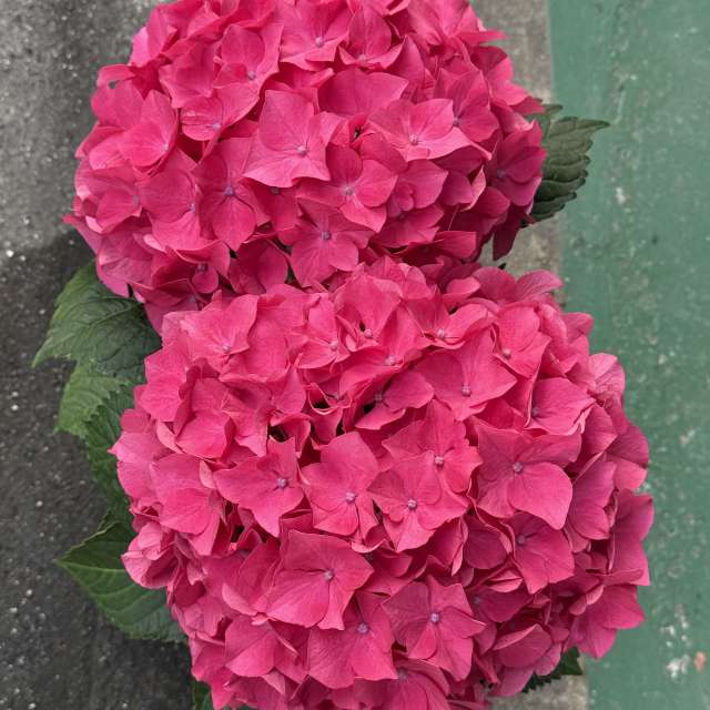 Fotos Contador. Previsões do tempo com lindas fotos de あさのジジ em Okayama