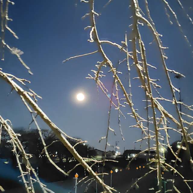 Weather forecasts with beautiful photos by umemui