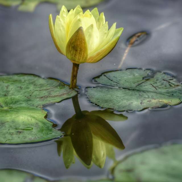 Prévisions météo avec de superbes photos de Lotti5507