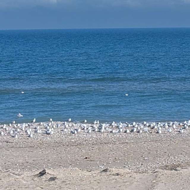 Pronósticos del tiempo con hermosas fotos de Bistef68