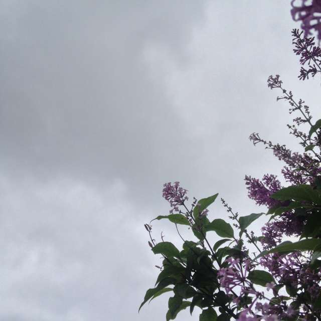 Weather forecasts with beautiful photos by starwars