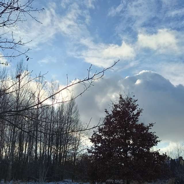 Previsões do tempo com lindas fotos de Madlen