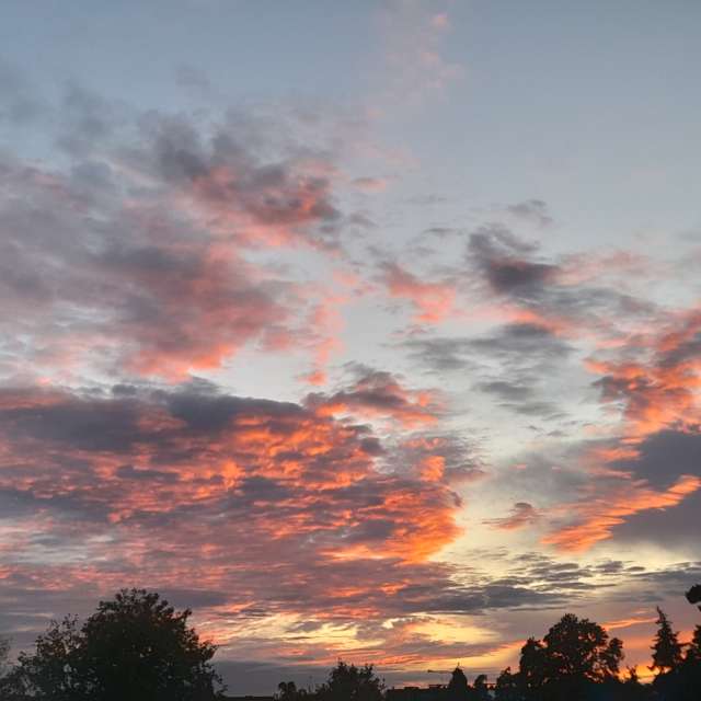 天气预报，带Liv精美的照片