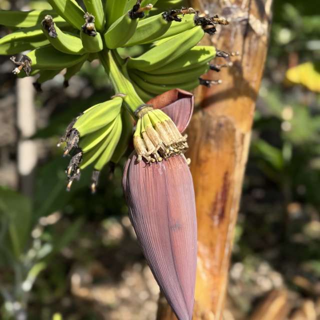 Weather forecasts with beautiful photos by Oksy