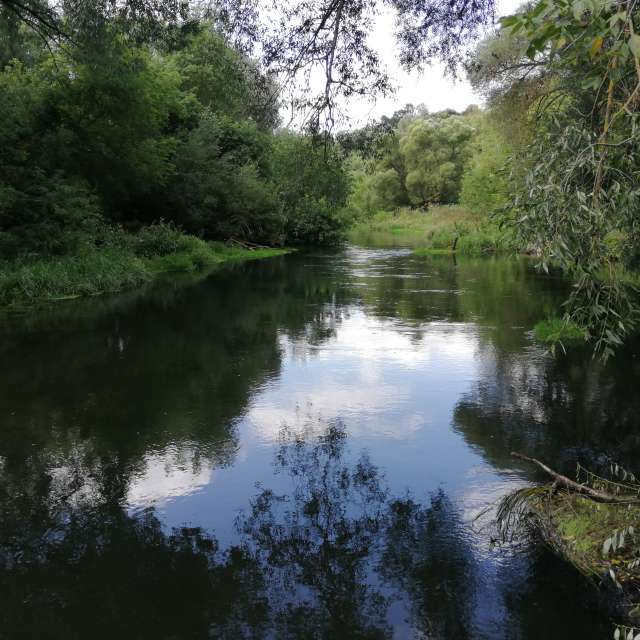 天气预报，带vilinsckayaolga精美的照片