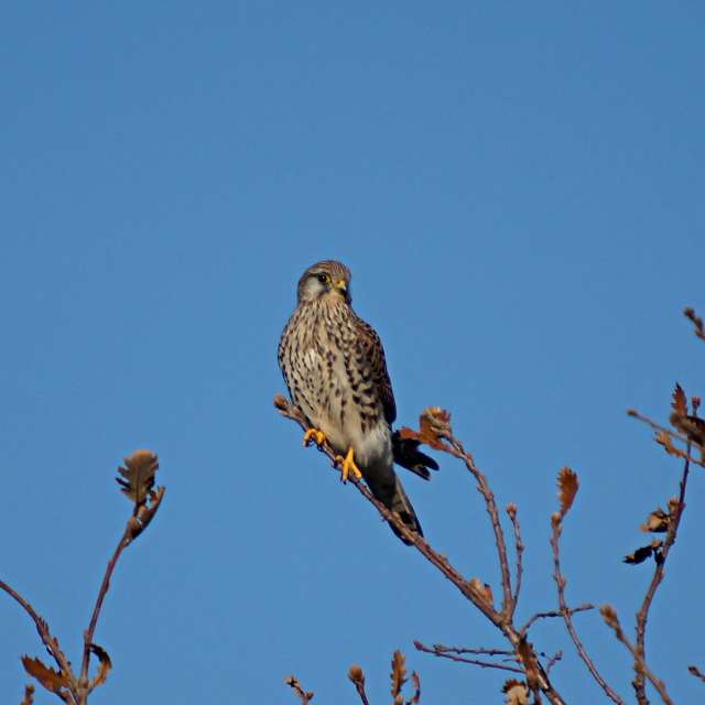 Weather forecasts with beautiful photos by tony5636