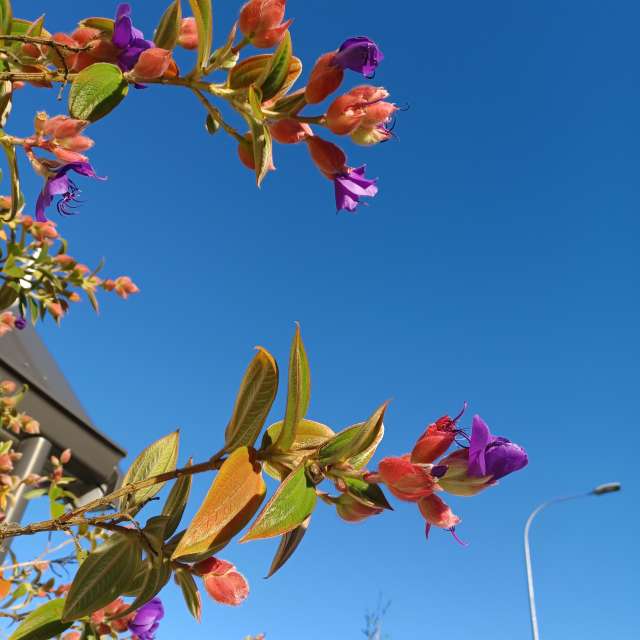 Прогнозы погоды с чудесными фотографиями, сделанными Hikey