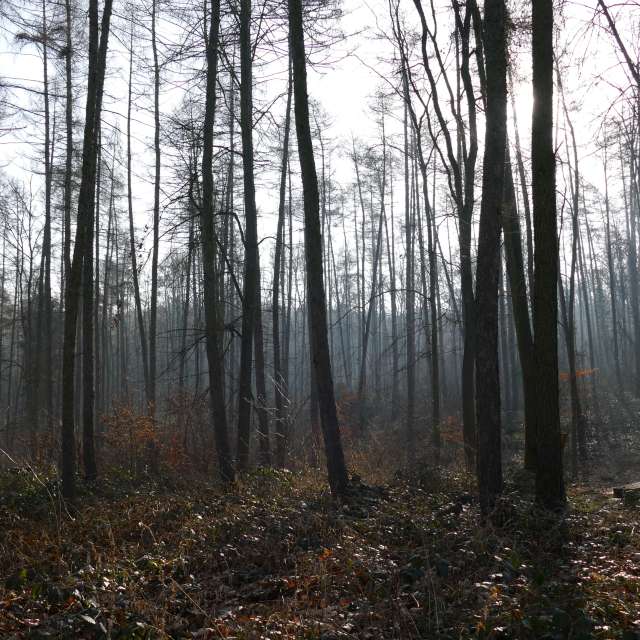 Fotos Abordado. Previsões do tempo com lindas fotos de Vasek325 em Praha 4