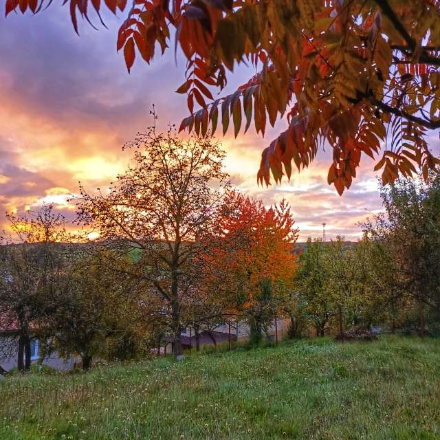 Weather forecasts with beautiful photos by _richardd