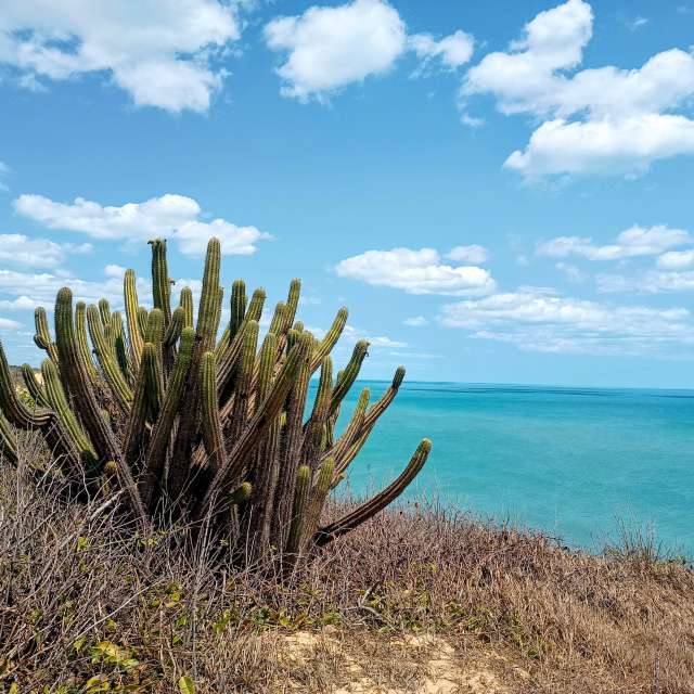 天气预报，带Flavia51精美的照片