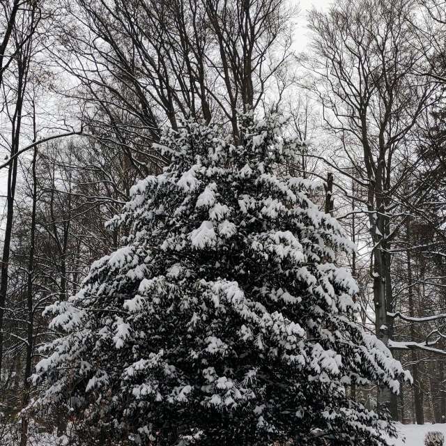 Kreuzen. Wettervorhersagen mit schönen Fotos von Kripo Fotos Ladek Zdroj
