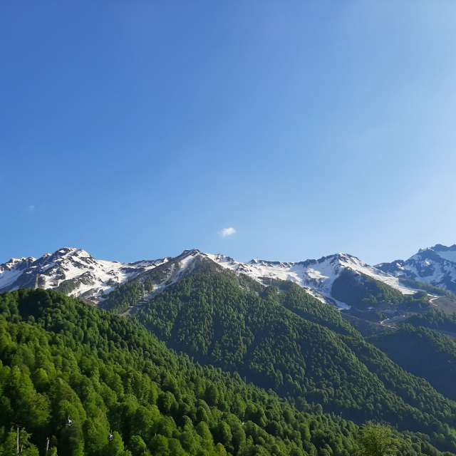 Field. Weather forecasts with beautiful photos by ART_GmbH Photos in Roza Khutor