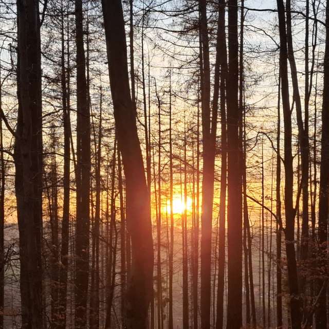 Прогнозы погоды с чудесными фотографиями, сделанными schimi