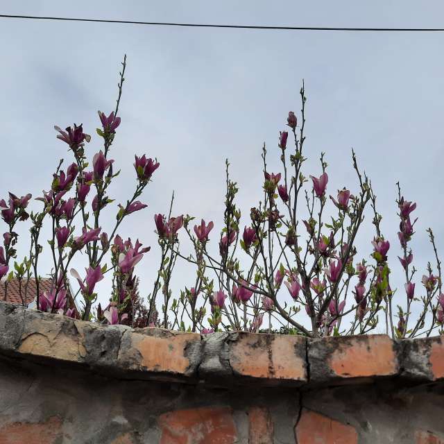 Fotos del Bote. Pronósticos del tiempo con hermosas fotos de aurablue en Belgrado