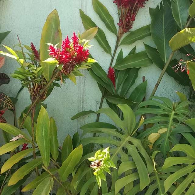 天气预报，带davidonefighter精美的照片