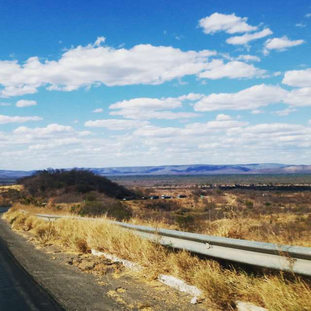Sheep. Weather forecasts with beautiful photos by Almir Cavalcante Photos in World