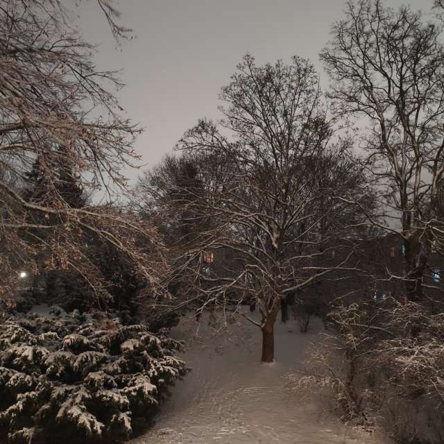 Previsões do tempo com lindas fotos de Oleg1961