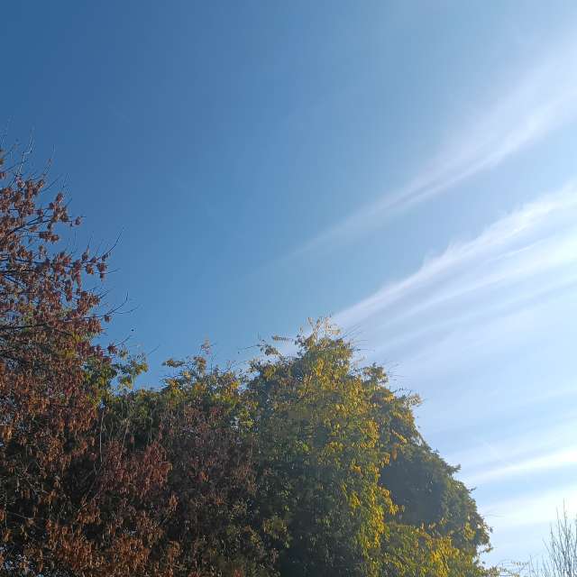 Fotos del Caballo. Pronósticos del tiempo con hermosas fotos de YanBog en București