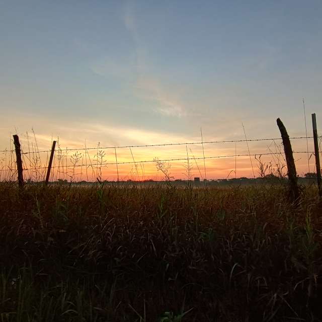 天气预报，带AgentTomcat精美的照片