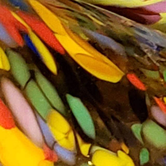 AnnaHakesの美しい写真による天気予報