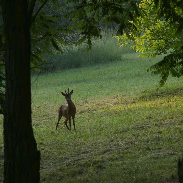 Fotos do tempo em Mundo. Previsões do tempo com lindas fotos de Vasek325