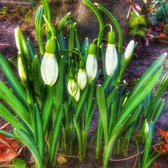 Weather forecasts with beautiful photos by Gweiland