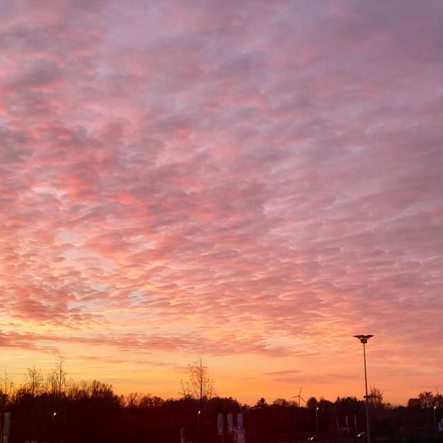 天气预报，带Liv精美的照片