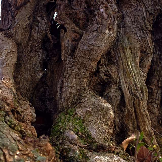 Прогнозы погоды с чудесными фотографиями, сделанными RUMBASTER