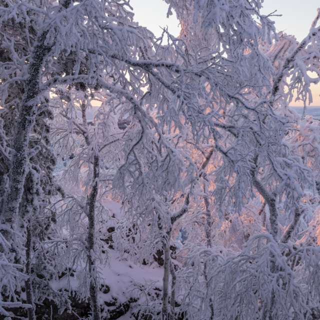 Man. Weather forecasts with beautiful photos by Nymph542 Photos in World