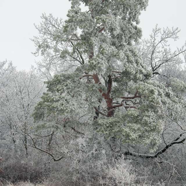 Pronósticos del tiempo con hermosas fotos de Paul57