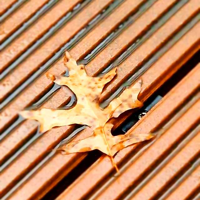 Building. Weather forecasts with beautiful photos by Seni Photos in Velbert