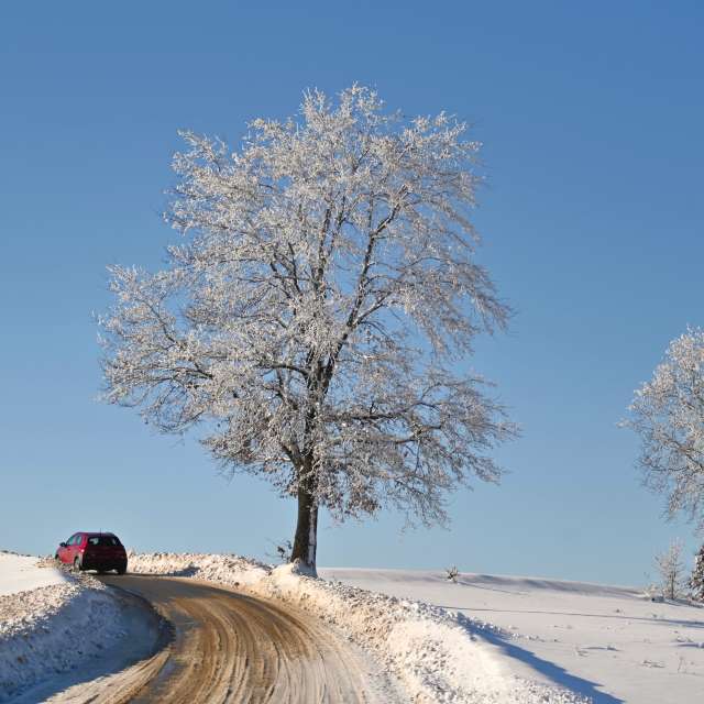 Прогнозы погоды с чудесными фотографиями, сделанными T-Antonio