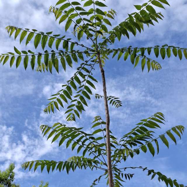 Board. Weather forecasts with beautiful photos by Wen-ya Huang Photos in Kaohsiung City