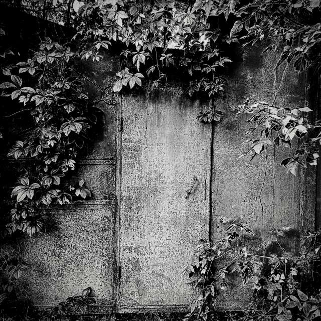 天气预报，带Michael_1969精美的照片