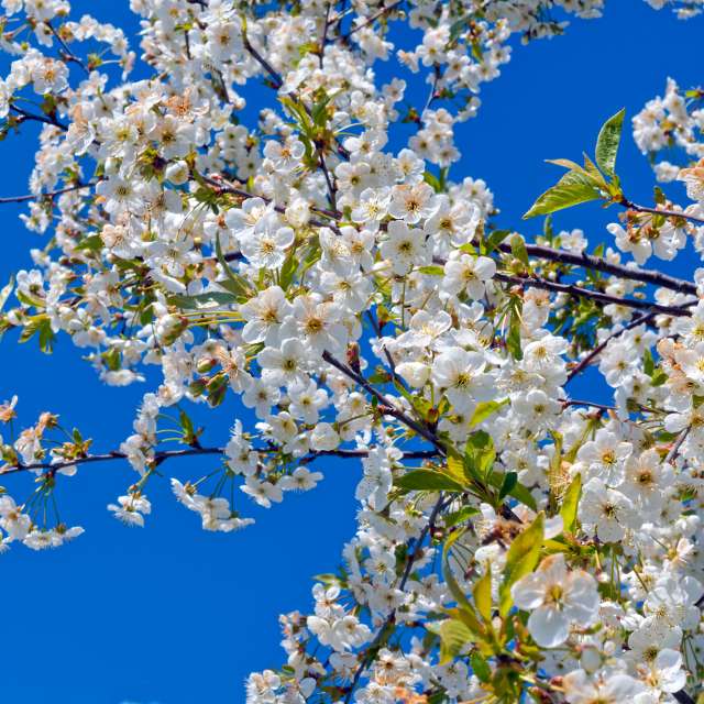 Прогнозы погоды с чудесными фотографиями, сделанными Aleh_Narushevich