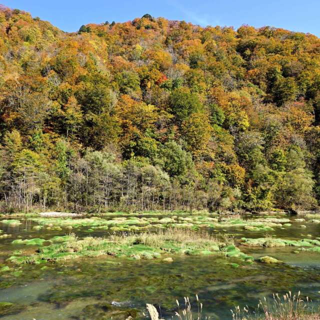 Weather forecasts with beautiful photos by yoshy