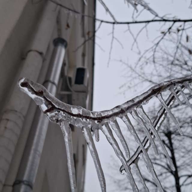 Wettervorhersagen mit schönen Fotos von Iryna