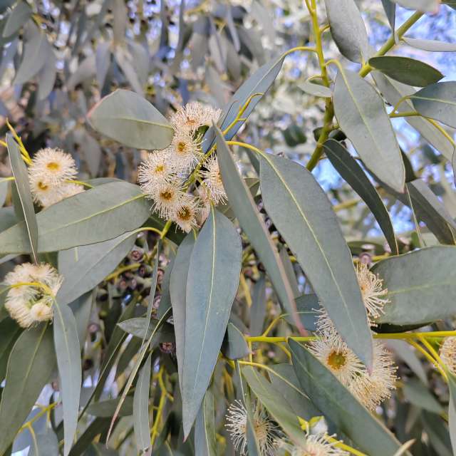 Fotos del Alimento. Pronósticos del tiempo con hermosas fotos de Albert_Smelovtsev en Sochi