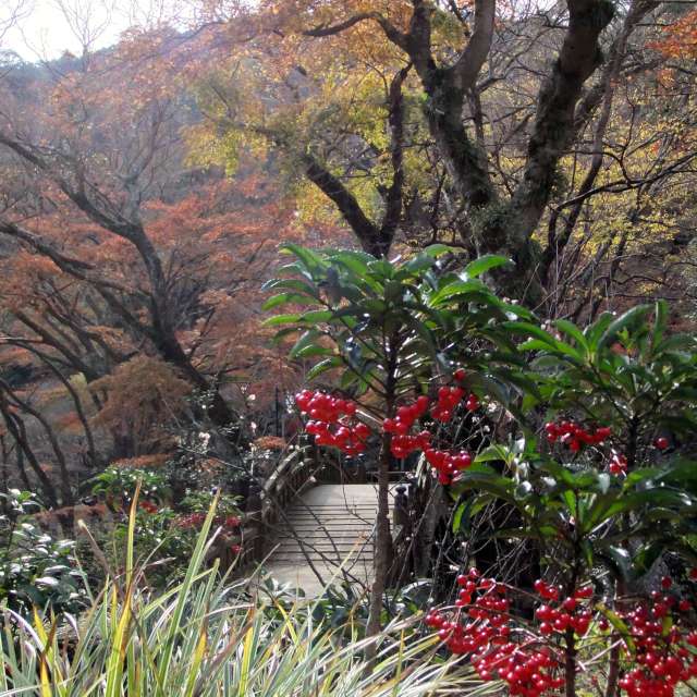 Large. Weather forecasts with beautiful photos by umemui Photos in Atami