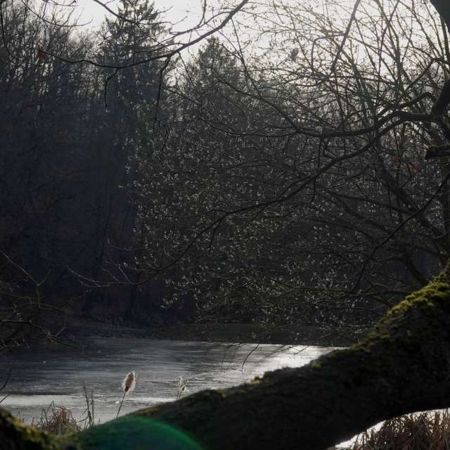 Fotos Luz. Previsões do tempo com lindas fotos de Vasek325 em Praha 12