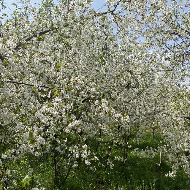 Weather forecasts with beautiful photos by Hamid-N