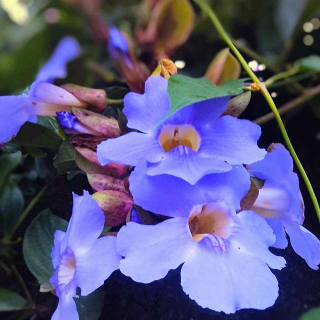 Sunnyyの美しい写真による天気予報