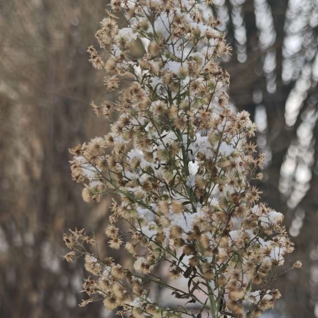 Cold. Weather forecasts with beautiful photos by Frau1 Photos in World