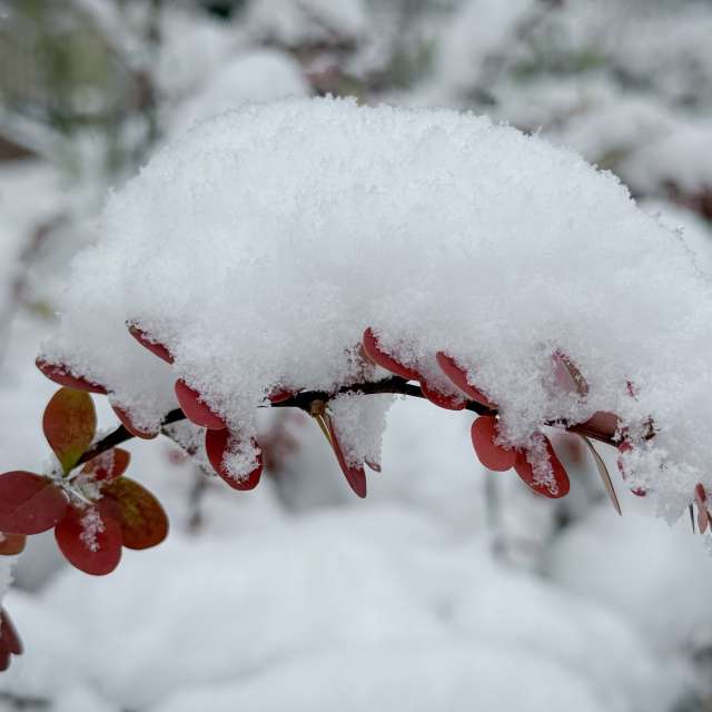 Прогнозы погоды с чудесными фотографиями, сделанными LMukasz