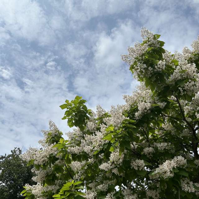 Weather forecasts with beautiful photos by grasielacf