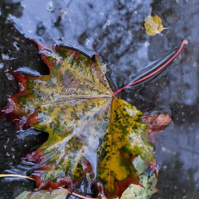 Cloudy. Weather forecasts with beautiful photos by Iryna Photos in Kharkiv